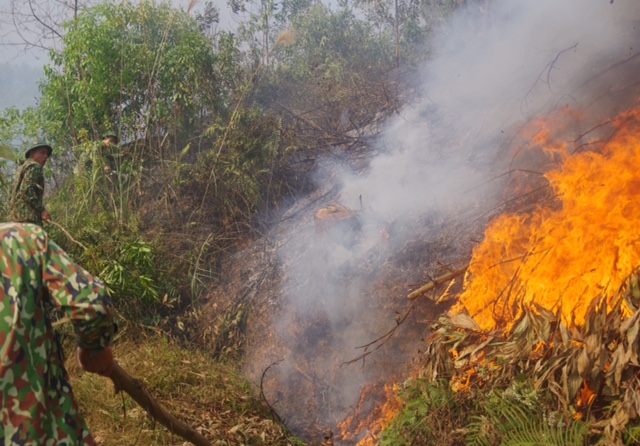 Bộ đội Sư đoàn 312 kịp thời chữa cháy rừng